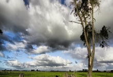 The Canyon We Must Cross: From Geology to Groundbreaking Tech